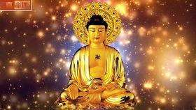 吃瓜放大悲咒视频,放大悲咒视频背后的感人故事