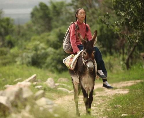 四哥骑驴吃瓜视频大全,趣味横生的短视频盛宴