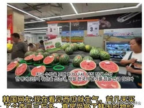 外国视频网站吃瓜,全球视角下的网络“吃瓜”现象解析