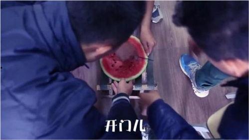 吃瓜爆笑段子视频大全,让你笑到肚子疼