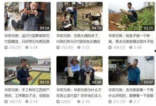 今日头条广州吃瓜视频下载,揭秘热门街头美食背后的故事