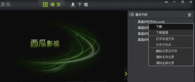 吃瓜整蛊视频下载免费安装,免费下载安装攻略大揭秘